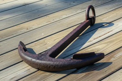 Illustration shank - Image 1