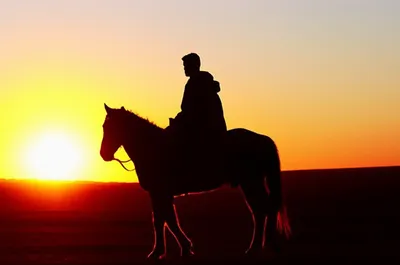 Illustration ridden - Image 1