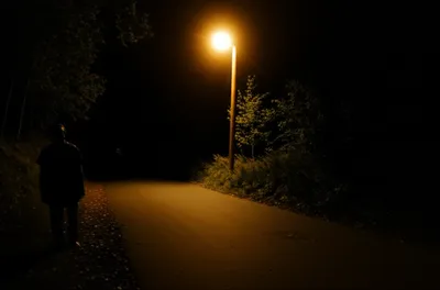 Illustration sinuous - Image 1