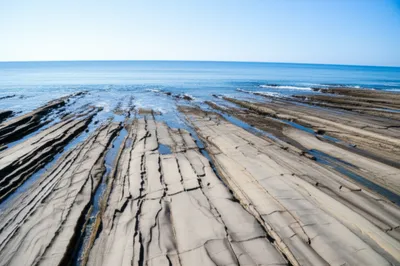 Illustration platforms - Image 1