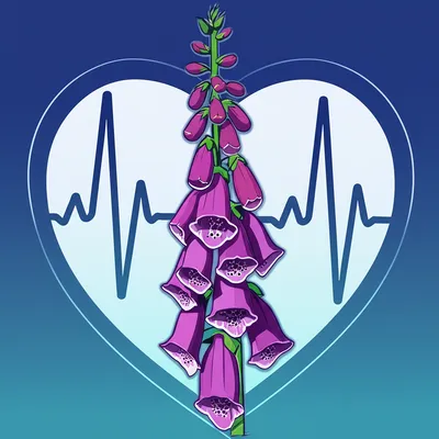Illustration digitalis - Image 1