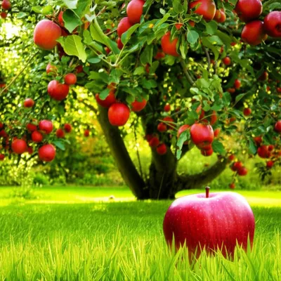 Illustration grounder - Image 1