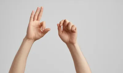 Illustration accent - Image 1