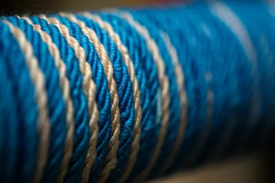 Illustration gimp - Image 1