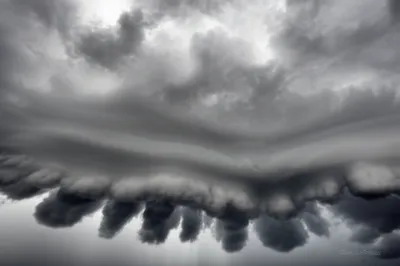 Illustration mamma - Image 1