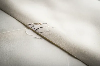 Illustration thins - Image 1