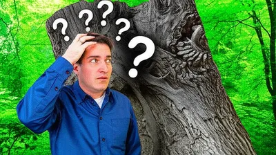 Illustration stumping - Image 1