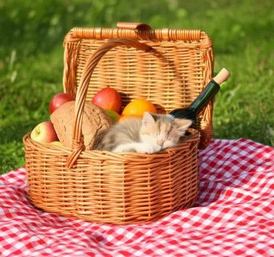 Illustration hampers - Image 1