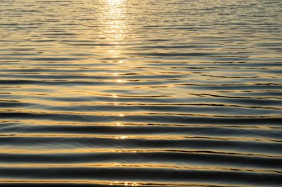 Illustration rippled