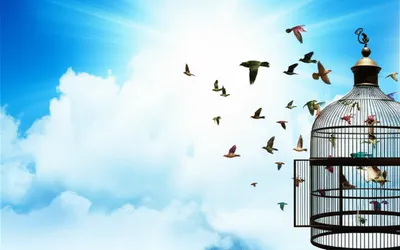 Illustration escapement - Image 1