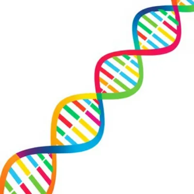 Illustration overlap - Image 1