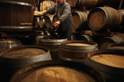 Illustration tun - Image 1