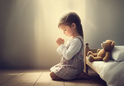 Illustration pets - Image 1