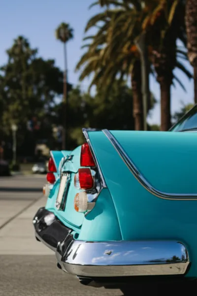 Illustration tailfins - Image 1