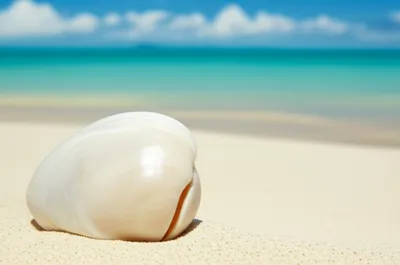 Illustration china - Image 1