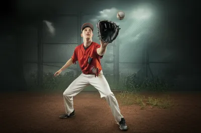 Illustration bush - Image 1