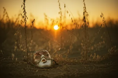 Illustration parties - Image 1