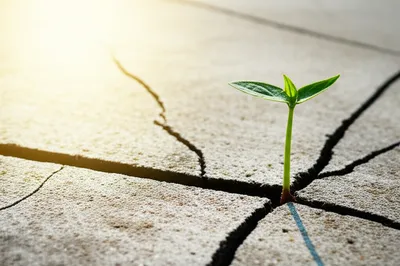 Illustration reboot - Image 1