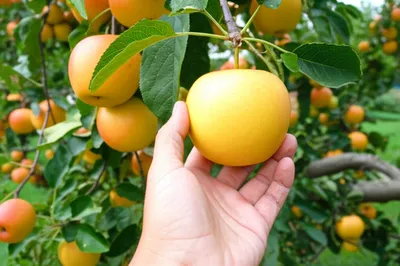 Illustration taking - Image 1