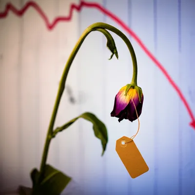 Illustration weaker - Image 1