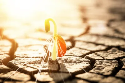 Illustration supposing - Image 1