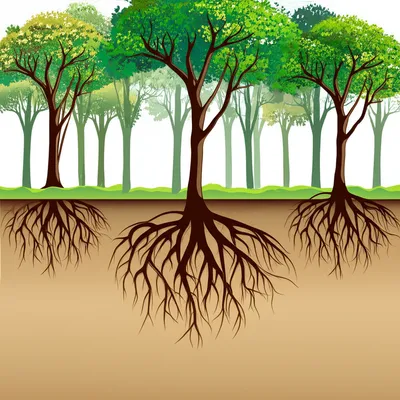 Illustration backbone - Image 1