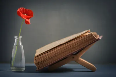 Illustration collocate - Image 1