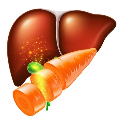 Illustration carotenes - Image 1