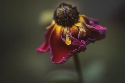 Illustration quitter