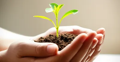 Illustration mom - Image 1