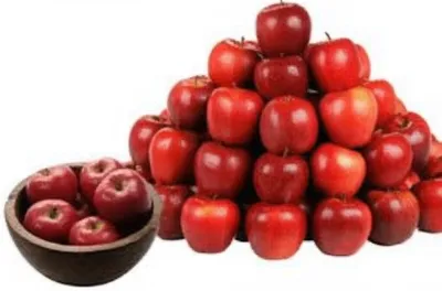 Illustration multiplied - Image 1