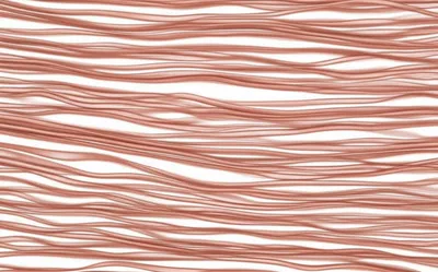 Illustration smoother - Image 1