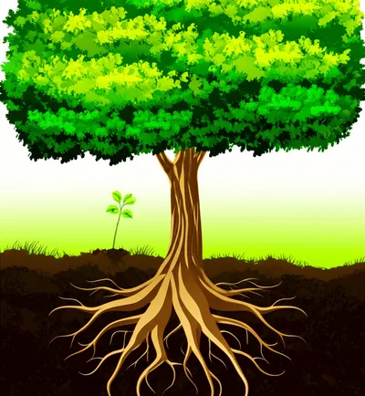 Illustration comes - Image 1