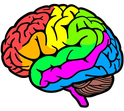 Illustration lobe - Image 1