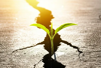 Illustration fo - Image 1