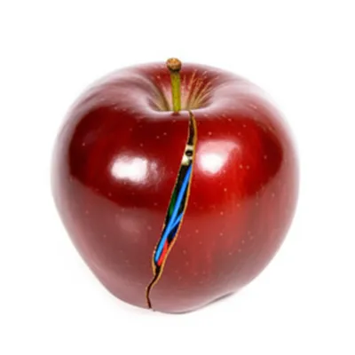 Illustration fakes - Image 1