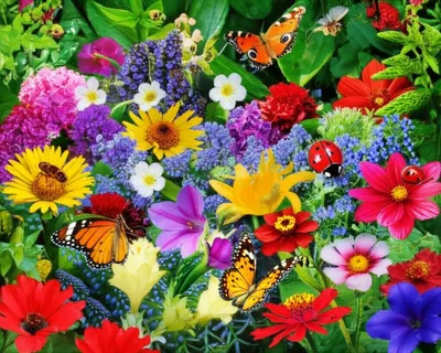 Illustration heterogeneity