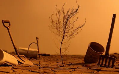 Illustration overuse - Image 1