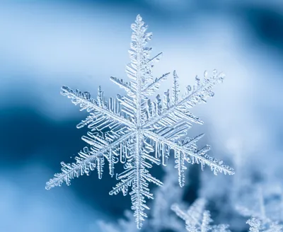 Illustration crystallized - Image 1