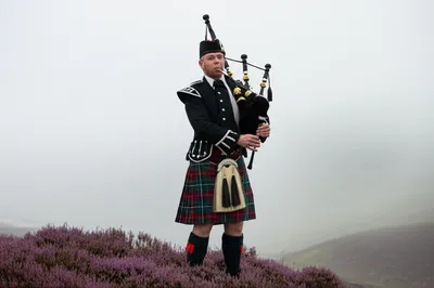 Illustration pipers - Image 1