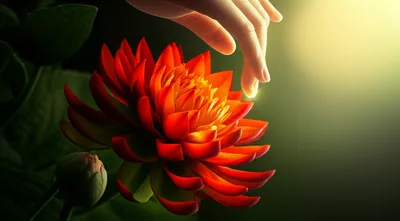 Illustration takes - Image 1