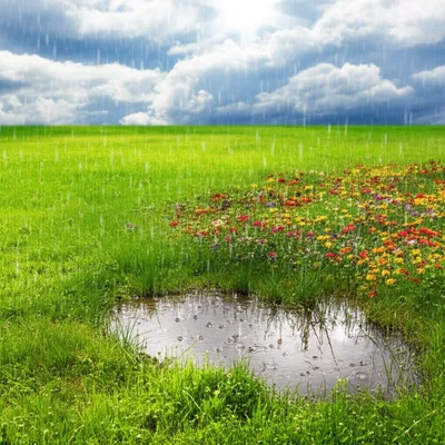 Illustration showery - Image 1