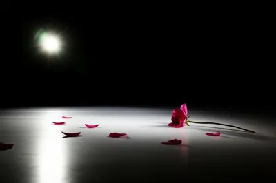 Illustration floor - Image 1