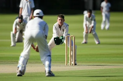 Illustration longstop - Image 1