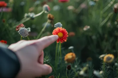 Illustration present - Image 1