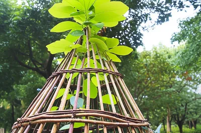 Illustration scaffolding - Image 1