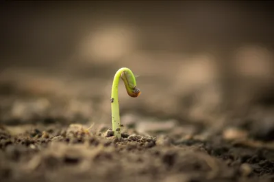 Illustration spire - Image 1