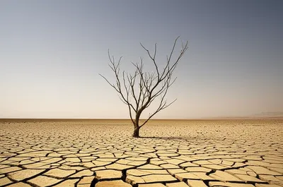 Illustration barren - Image 1