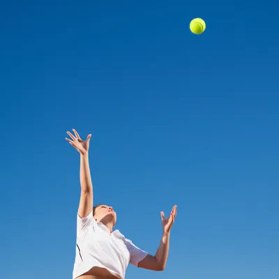 Illustration lob - Image 1