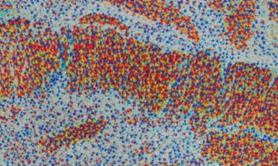 Illustration globs - Image 1